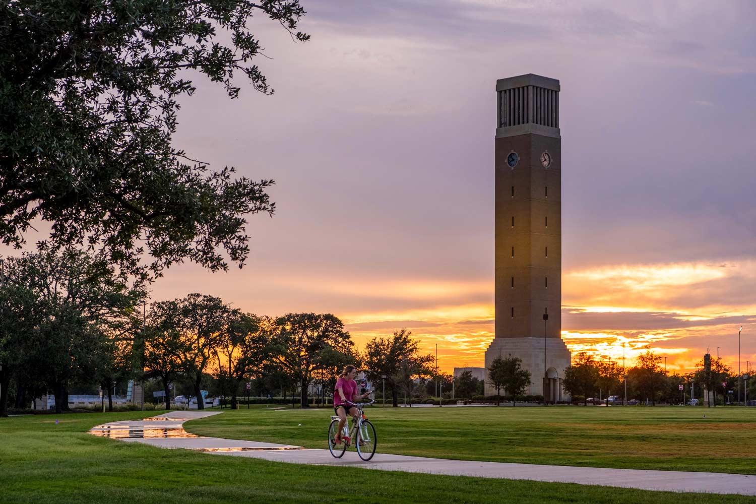 91短视频 student rides a bike in front of Albritton Bell Tower during sunset.